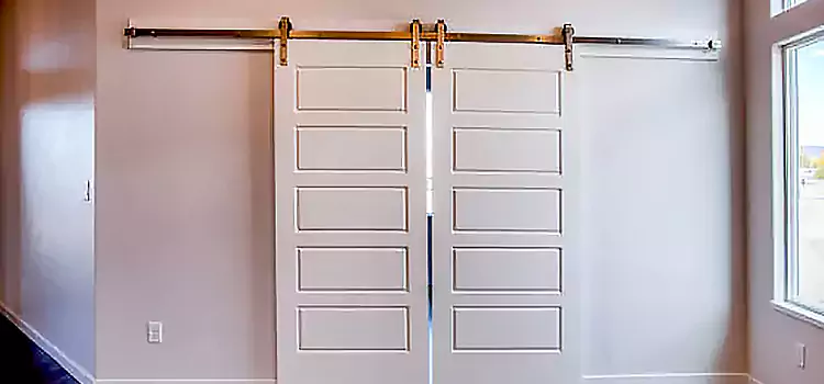 Glass Barn Door with Installation Hardware Kit Lynbrook