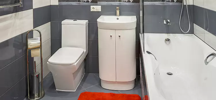 Hansgrohe Shaving Mirror Lynbrook